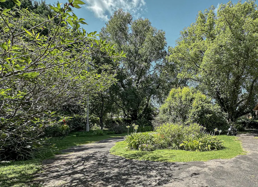 Terreno baldío en el casco histórico de Fisherton con amplia arboleda - Imagen 1 de 2