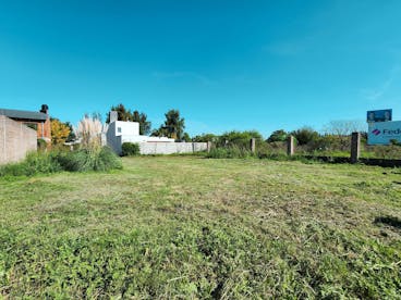 photos