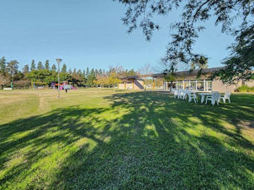 photos