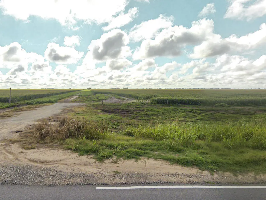 Campo de 29,9 Has para cultivos extensivos con alto potencial en zona núcleo - Imagen 1 de 5