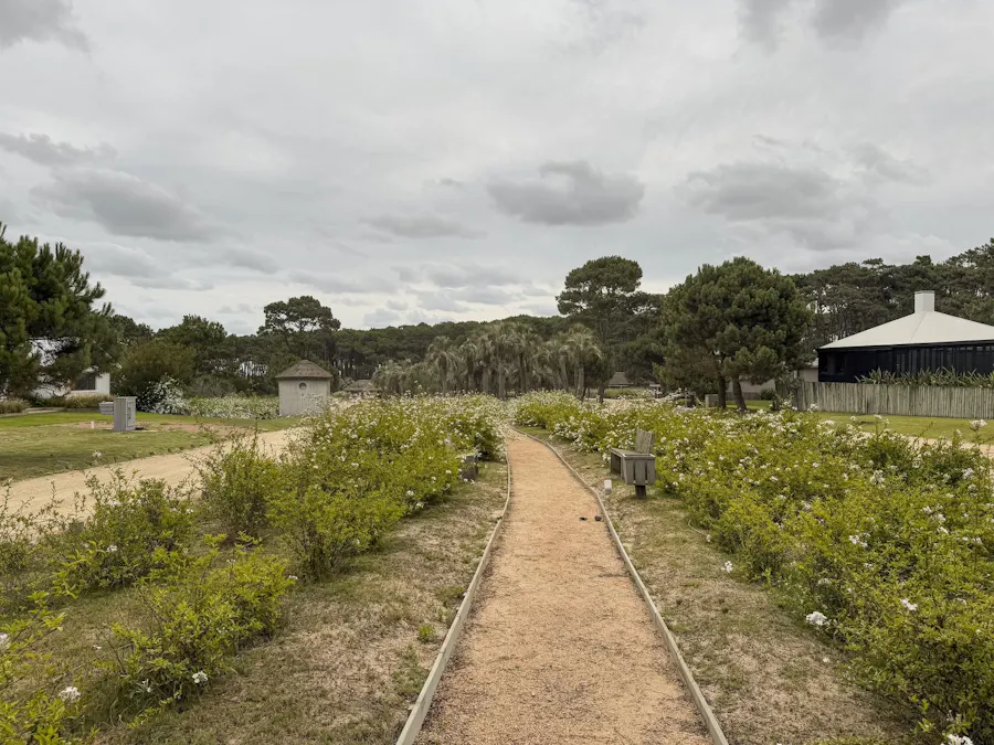 Terreno central con amenities en Pinar del Faro, Jose Ignacio - Imagen 1 de 14
