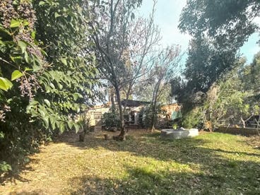 photos
