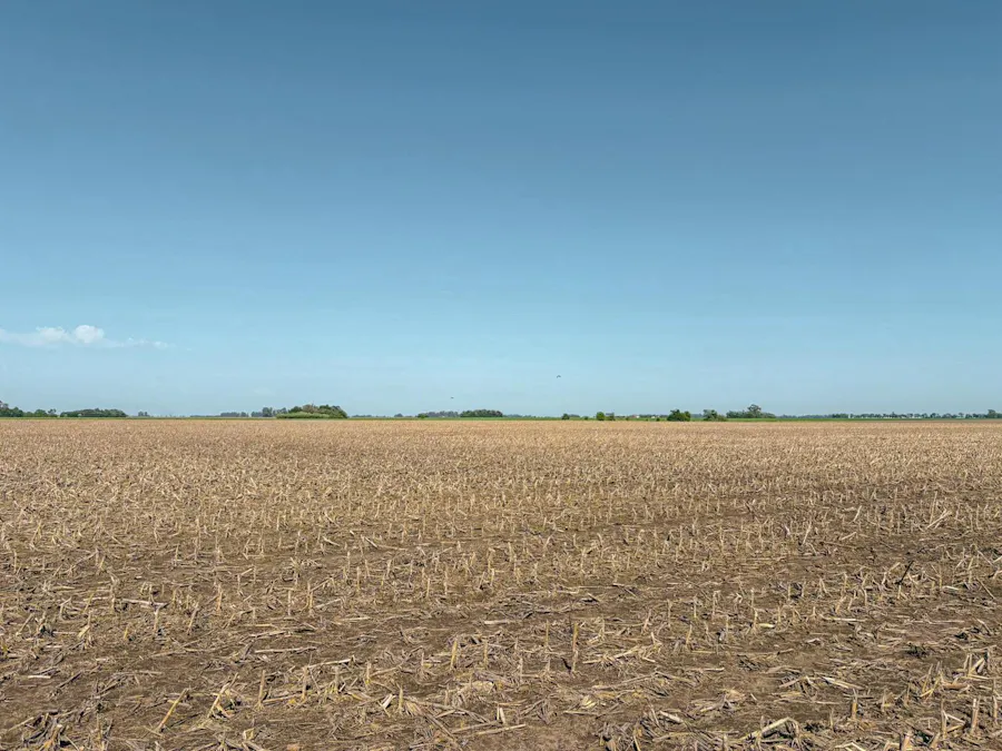 Excelente campo de 98 has en el Sur de Santa Fe - Imagen 1 de 4