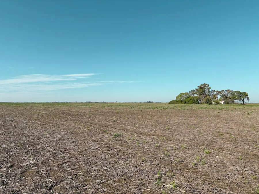 Campo de 38 hectareas en Fighiera con Suelo Clase 1 cerca de la Autopista - Imagen 1 de 7