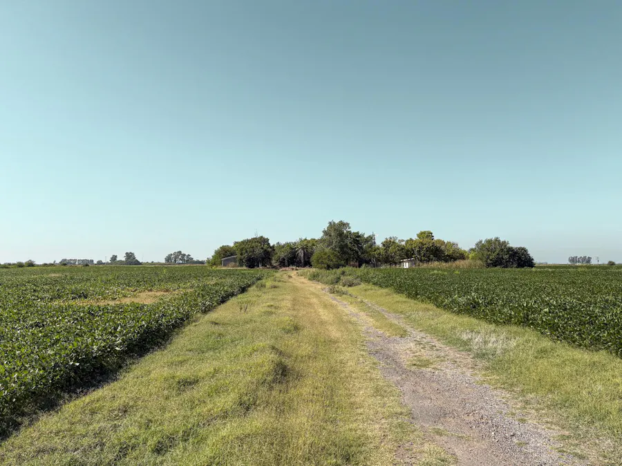 Campo agricola de 14.9 hectareas en Soldini - Imagen 1 de 8