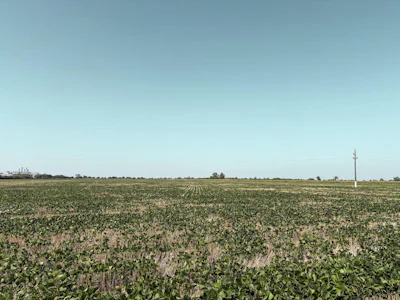 Campo agricola en Armstrong con 25 hectáreas - Imagen 4