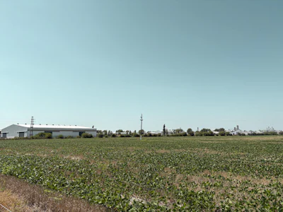 Campo agricola en Armstrong con 25 hectáreas - Imagen 1