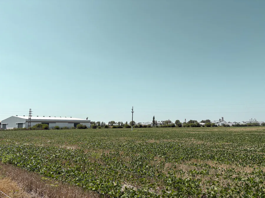 Campo agricola en Armstrong con 25 hectáreas - Imagen 1 de 7