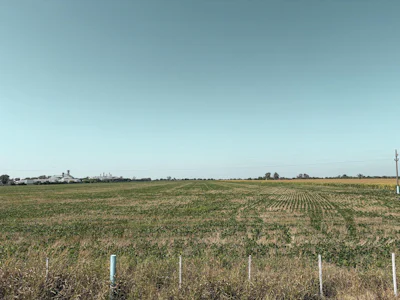 Campo agricola en Armstrong con 25 hectáreas - Imagen 5
