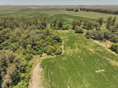 Campo Agrícola en Noroeste de Buenos Aires, cercano a Rufino - Imagen 4