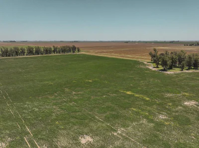 Campo Agrícola en Noroeste de Buenos Aires, cercano a Rufino - Imagen 2