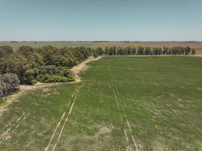 Campo Agrícola en Noroeste de Buenos Aires, cercano a Rufino - Imagen 3