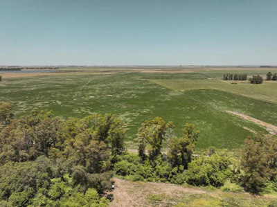 Campo Agrícola en Noroeste de Buenos Aires, cercano a Rufino - Imagen 1