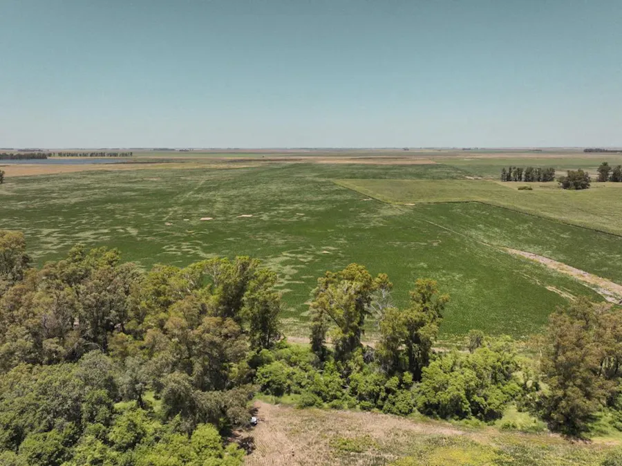 Campo Rural en Zona Núcleo cercano a Rufino - Imagen 1 de 4