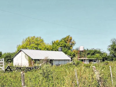Campo de uso mixto en La Paz, Entre Rios con 800 hectareas - Imagen 2