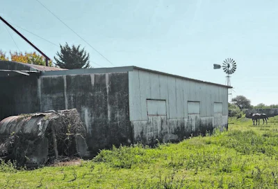 Campo de uso mixto en La Paz, Entre Rios con 800 hectareas - Imagen 4