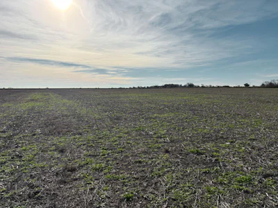 Campo agrícola de 39 has al Norte de Buenos Aires - Imagen 4