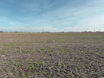 Campo agrícola de 39 has al Norte de Buenos Aires - Imagen 3
