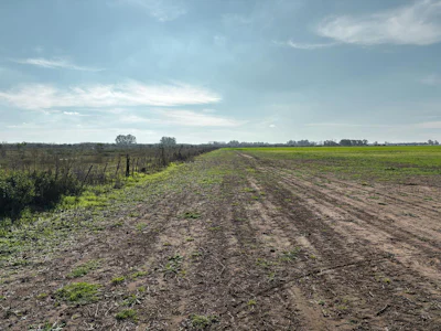 Campo de 86 has sobre Autopista Rosario - Buenos Aires - Imagen 5