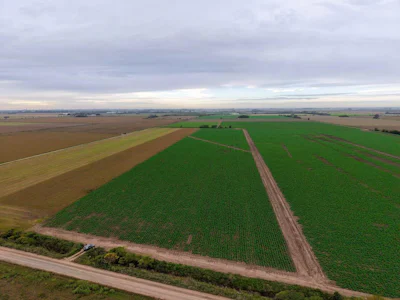 Campo productivo en Fighiera con 25 hectareas - Imagen 3