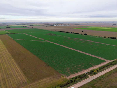 Campo productivo en Fighiera con 25 hectareas - Imagen 4