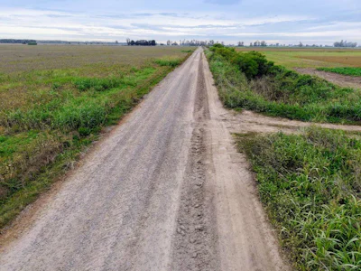 Campo productivo en Fighiera con 25 hectareas - Imagen 5