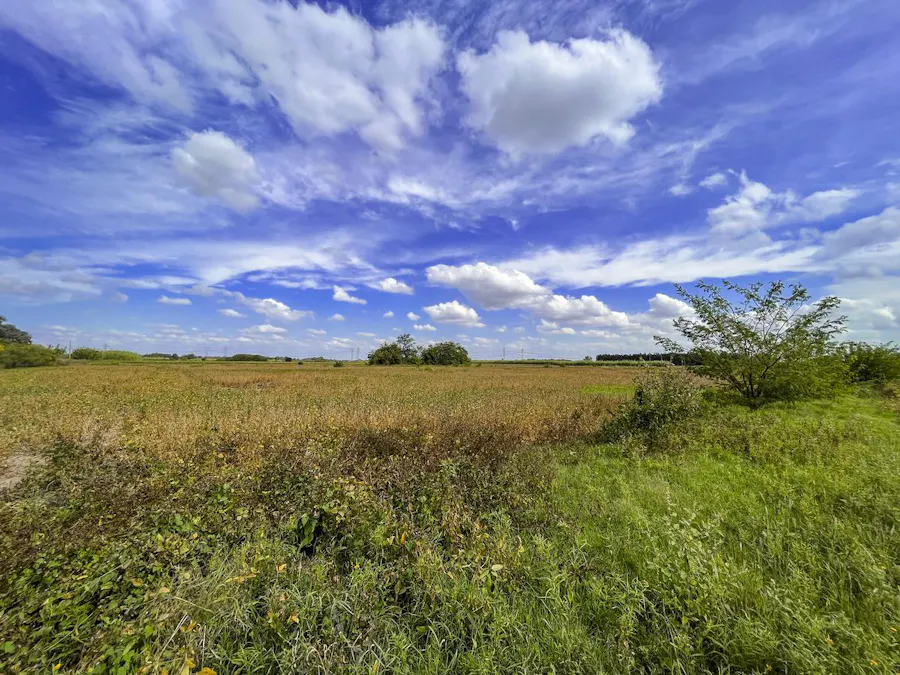 Campo de 60.000 m2 en Perez - Imagen 1 de 9