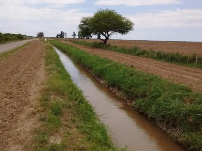 Campo en Estación Robles de 192 hectáreas, apto agricultura y con servicios - Imagen 2