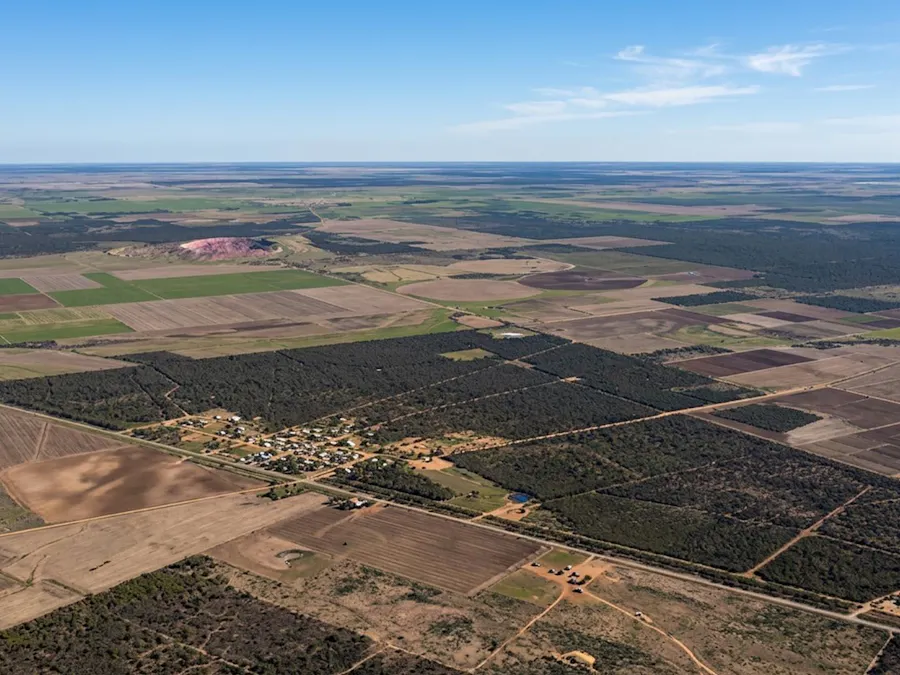 Campo en Estación Robles de 192 hectáreas, apto agricultura y con servicios - Imagen 1 de 4