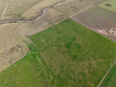 Campo de uso mixto en Santa Teresa con 201,5 hectareas - Imagen 3