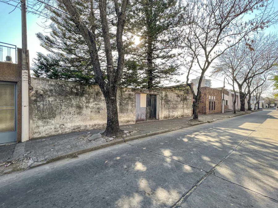 Terreno baldío arbolado - Imagen 1 de 7