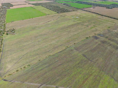 Campo agricola en Alcaraz con 230 hectáreas, zona La Paz - Imagen 1