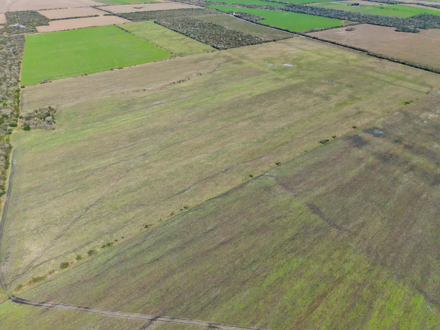 Campo agricola en Alcaraz con 230 hectáreas, zona La Paz - Imagen 1 de 6