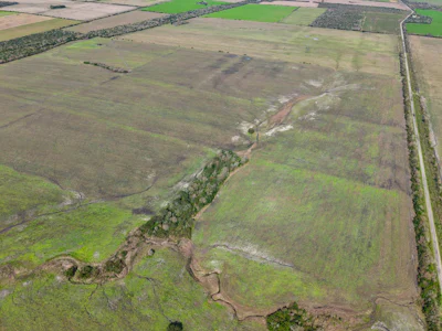 Campo agricola en Alcaraz con 230 hectáreas, zona La Paz - Imagen 2