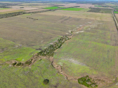 Campo agricola en Alcaraz con 230 hectáreas, zona La Paz - Imagen 3