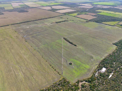 Campo agricola en Alcaraz con 230 hectáreas, zona La Paz - Imagen 5