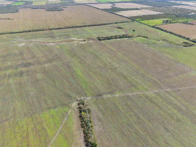 Campo agricola en Alcaraz con 230 hectáreas, zona La Paz - Imagen 4