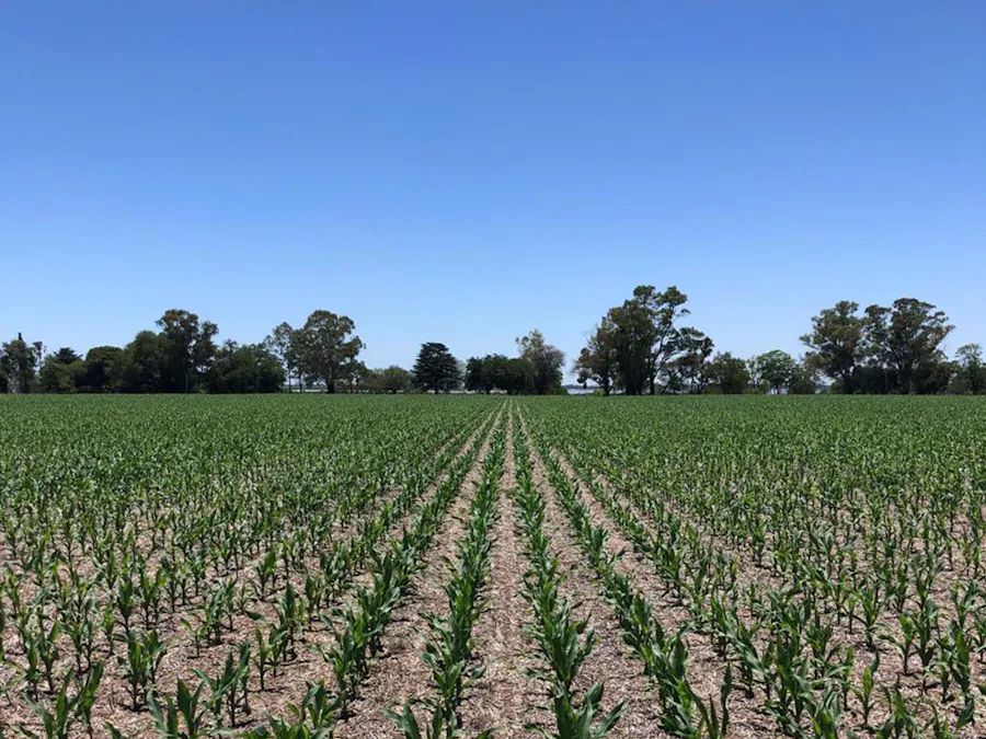 Campo de aptitud agrícola con 72 hectáreas en La Paz - Imagen 1 de 7