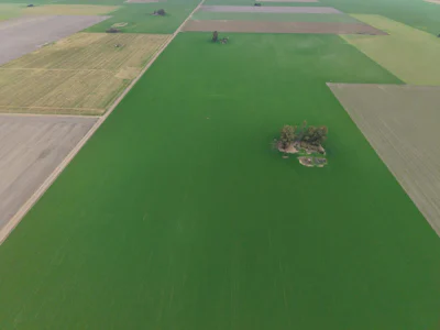 Campo agricola en Acebal con 31 hectareas - Imagen 2