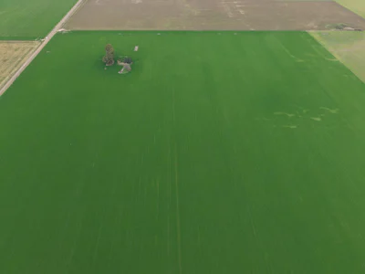 Campo agricola en Acebal con 31 hectareas - Imagen 3