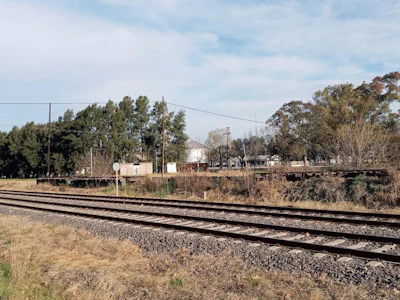 Excelente campo alquilado sobre ruta, en el Sur de Santa Fe - Imagen 2
